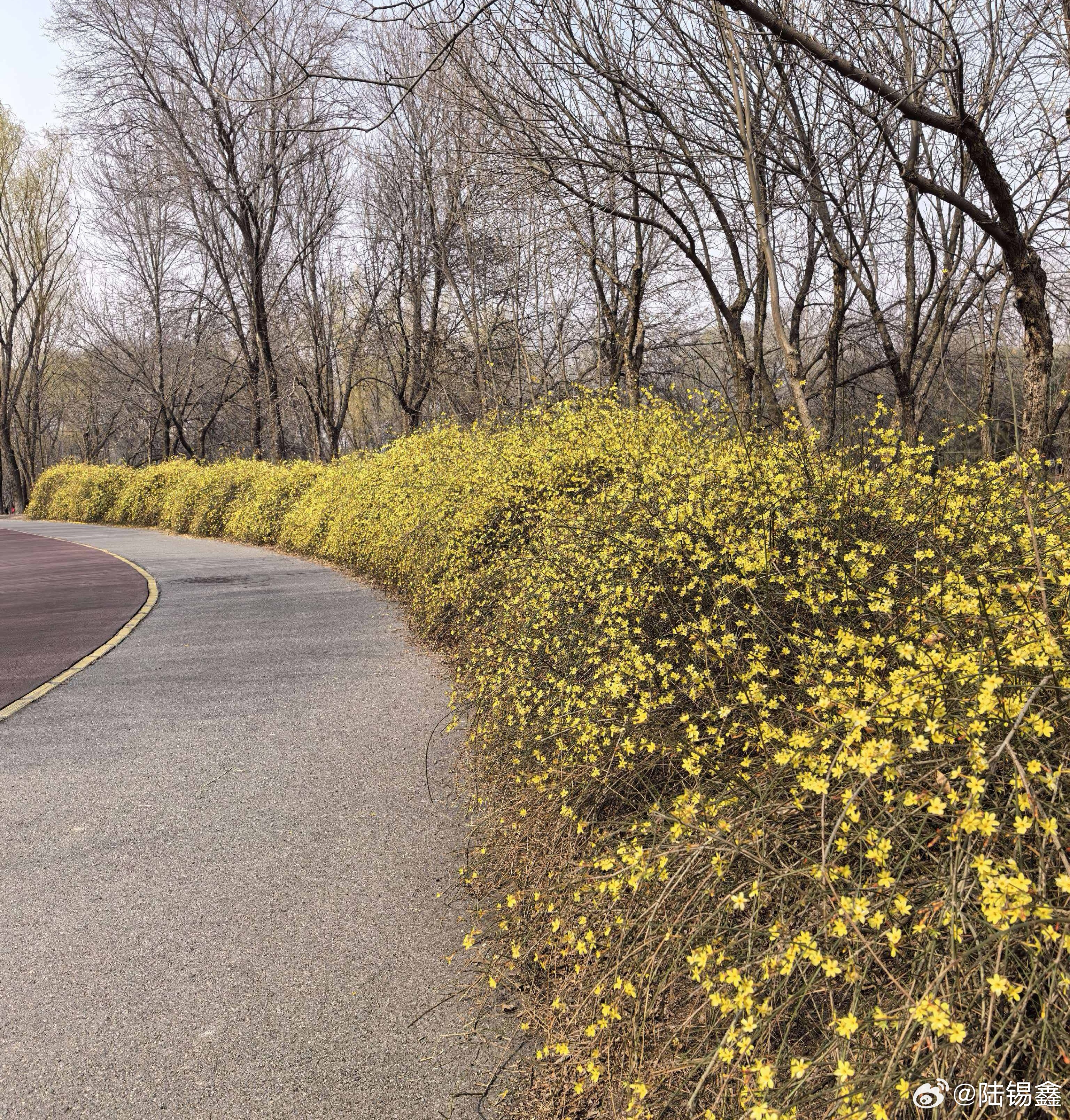 【 我的网络成长故事  十年网事藏着小美好 】网络时代，有各类业态、各种生态的网