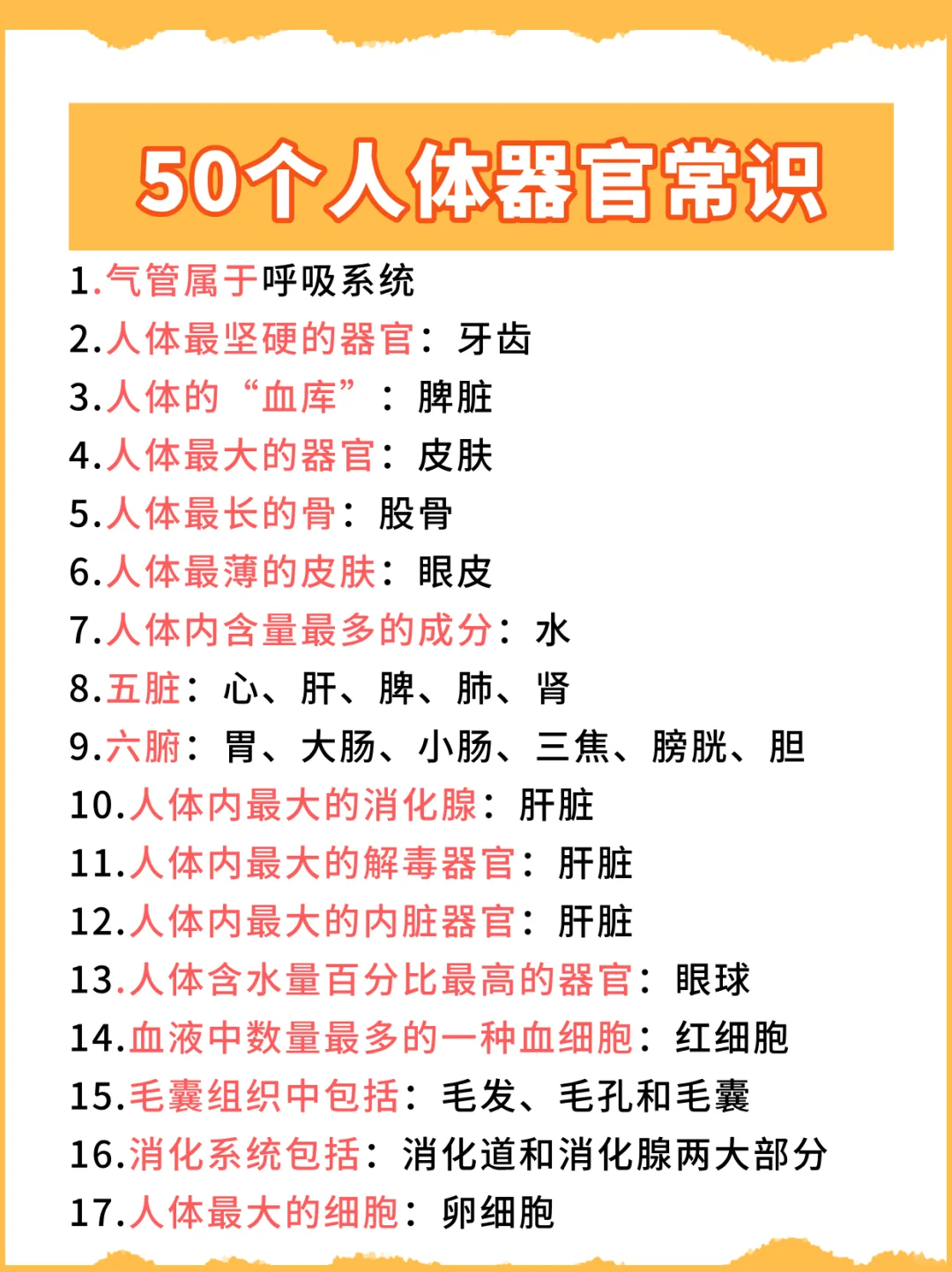 盘点那些每个人都需要知道的人体器官常识