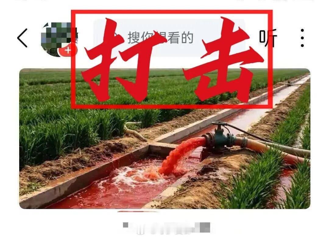 多人编造麦田流血水等谣言被罚为博流量用AI炮制惊悚假图，编造麦田流血、农田投毒谣