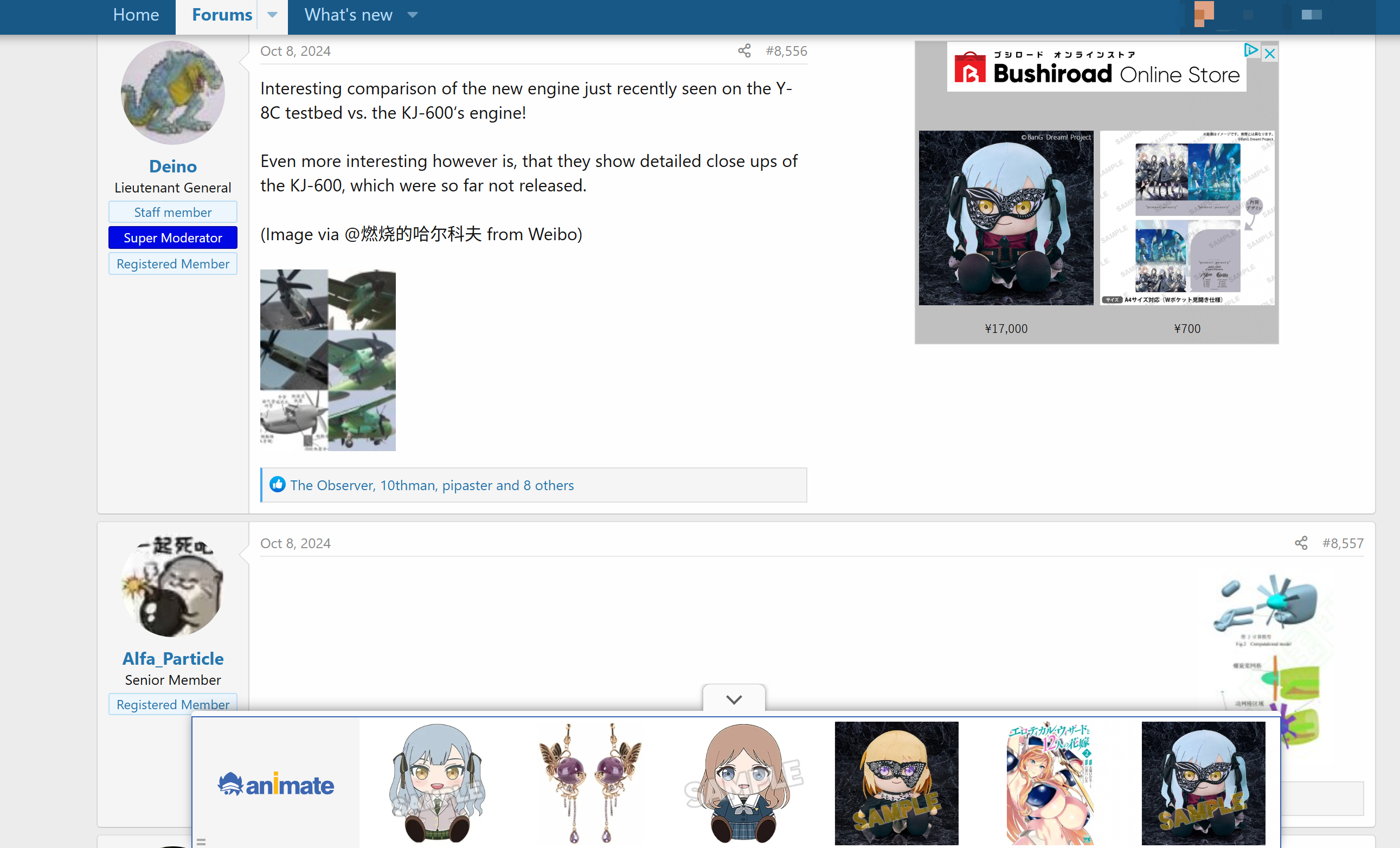 wsd真的很会打广告 