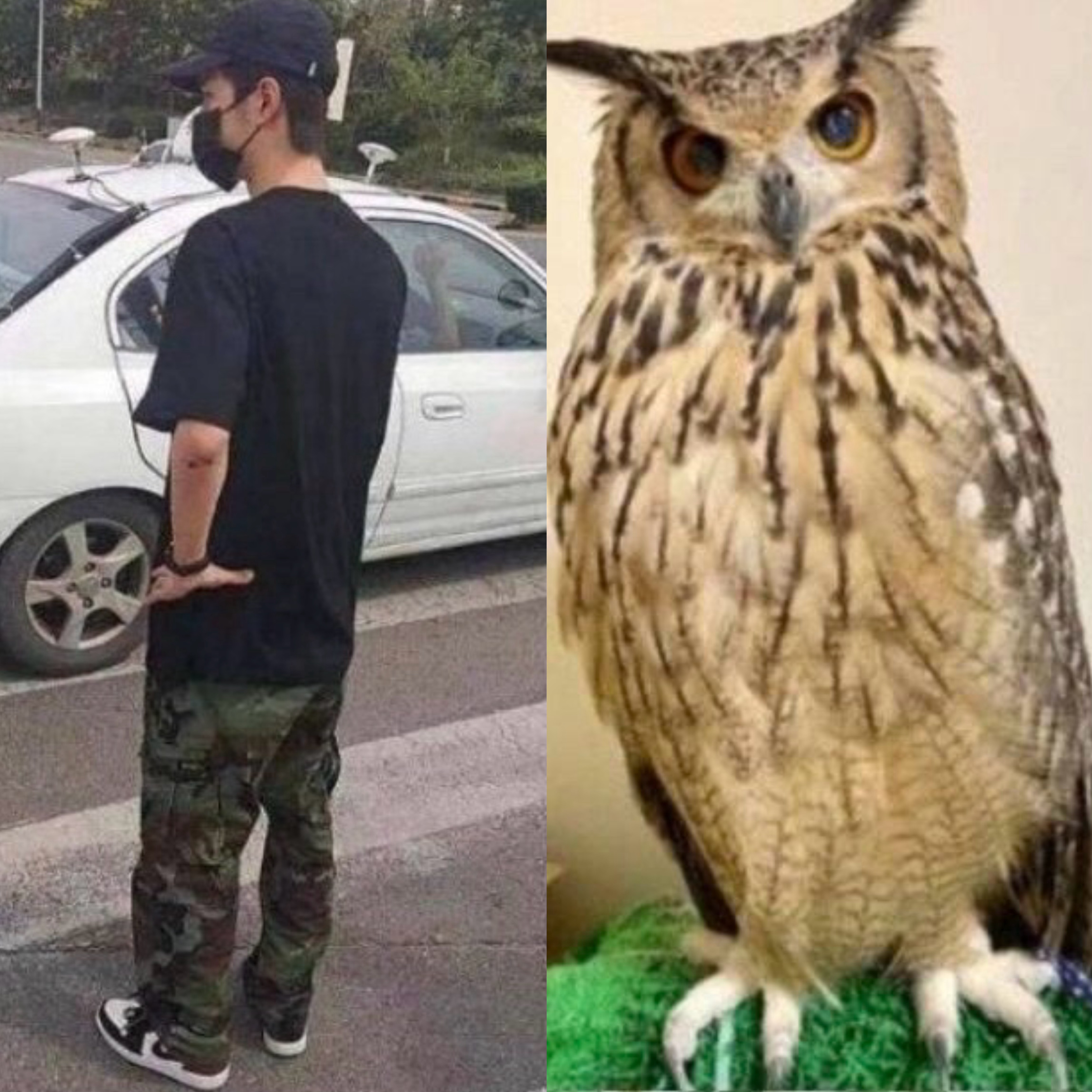 哈哈哈哈哈哈哈隐藏型选手 