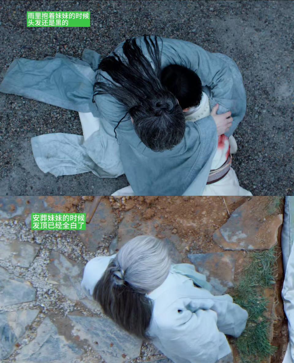 《长安二十四计》：谢淮安再也不用染白发了。
妹妹死了，谢淮安一夜白头，这次不是染