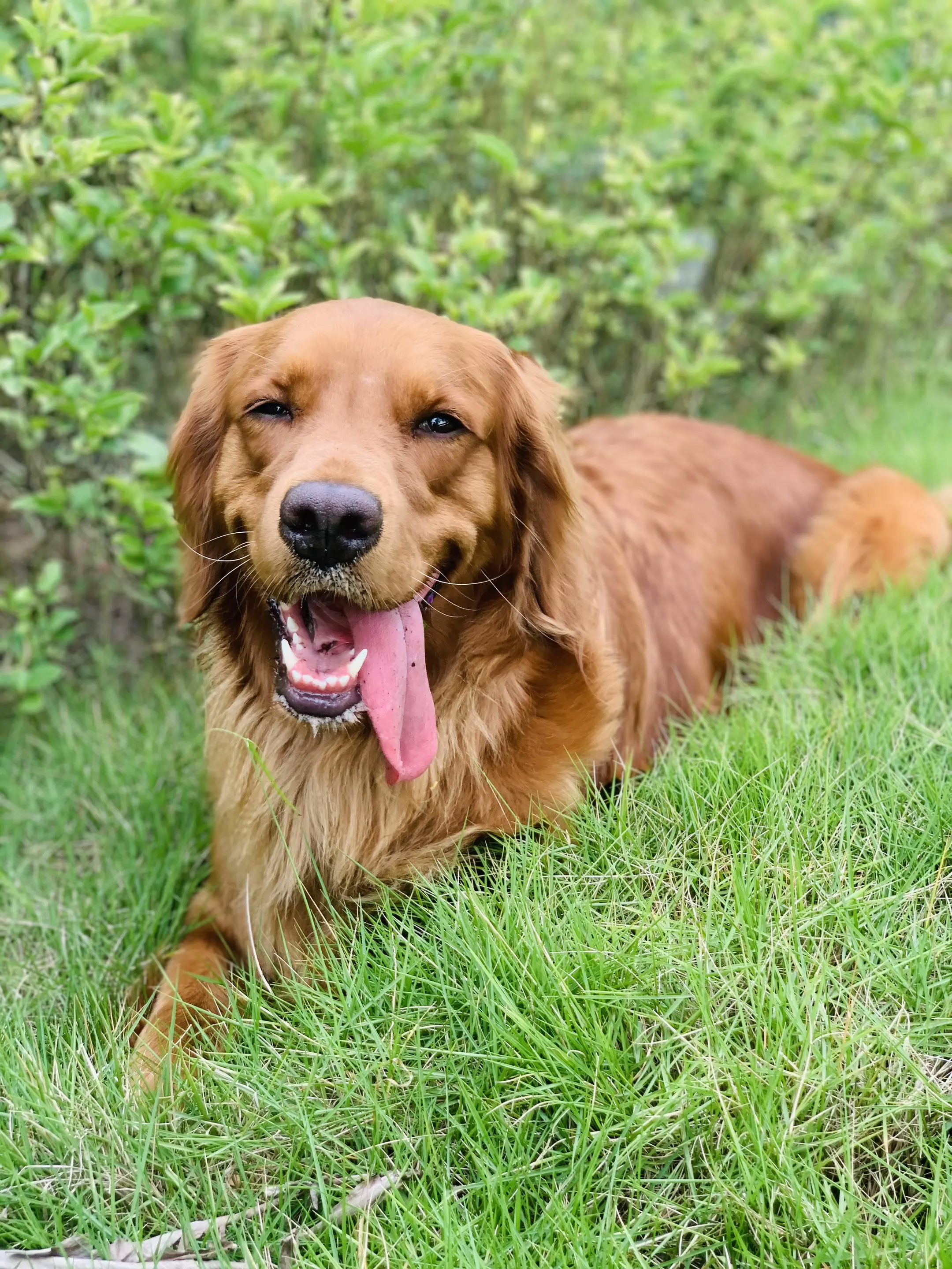 我今天特别特别的想它。今天是你离开妈妈的第四天，此时此刻我的宝贝肯定在...