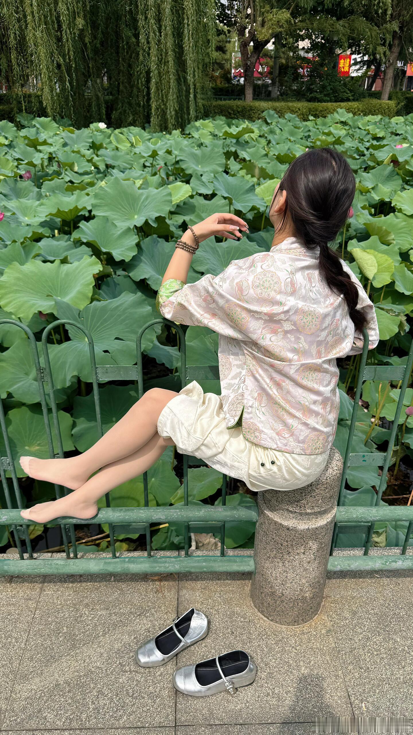 接天莲叶无穷碧 ​​​