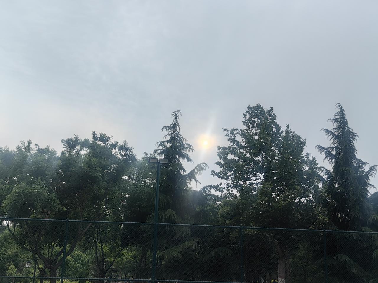 分享一下你随手拍下的照片