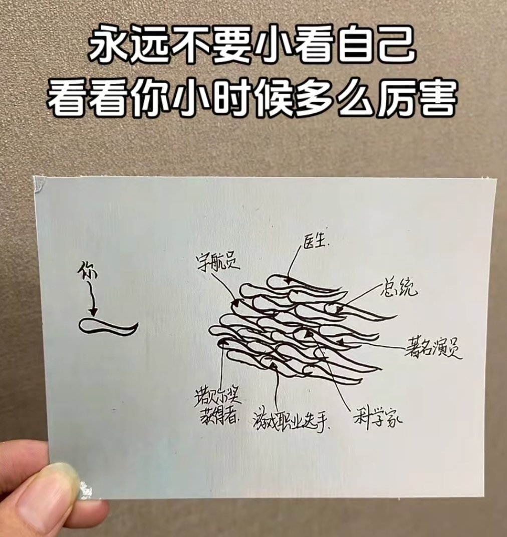 永远不要小看自己 ​​​