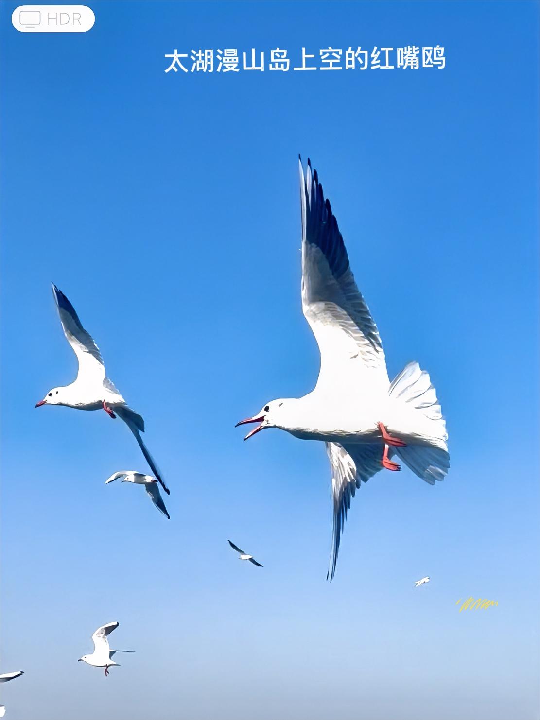 分享一张有关天空的照片