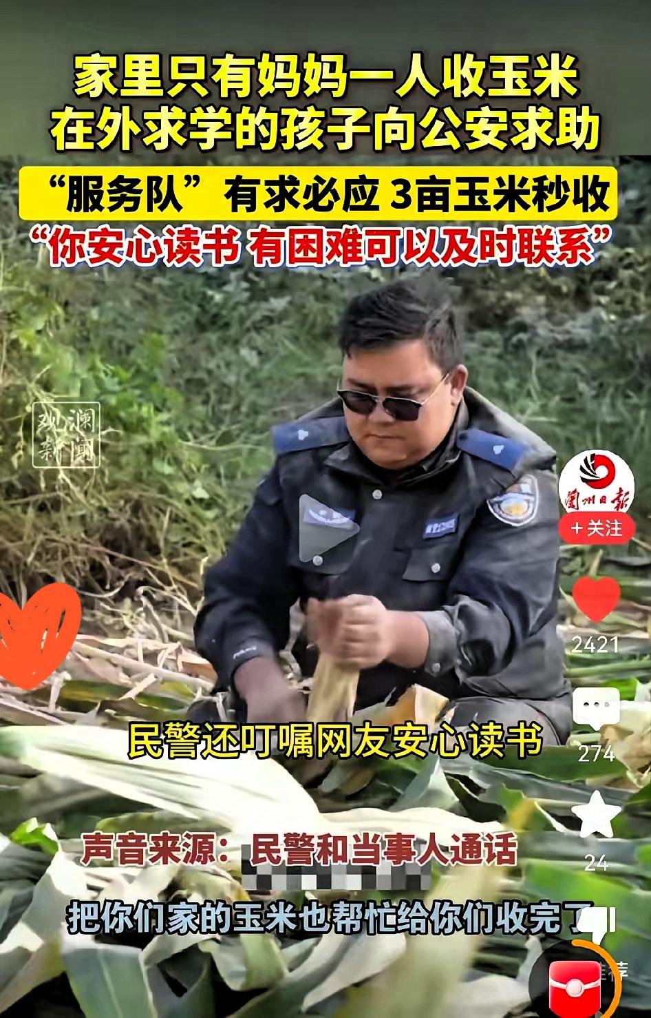 在外求学的新疆大学生一句
“家里三亩玉米没人收，就老妈在家”，民警居然真的带着人