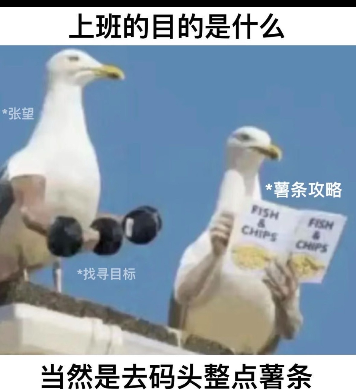 人生在世薯条二字🍟 