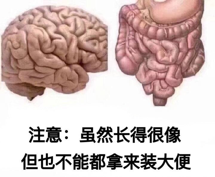 看了个视频，说美杜莎死不瞑目是反凝视，哪种凝视你们懂得。你要说美杜莎我就不困了，