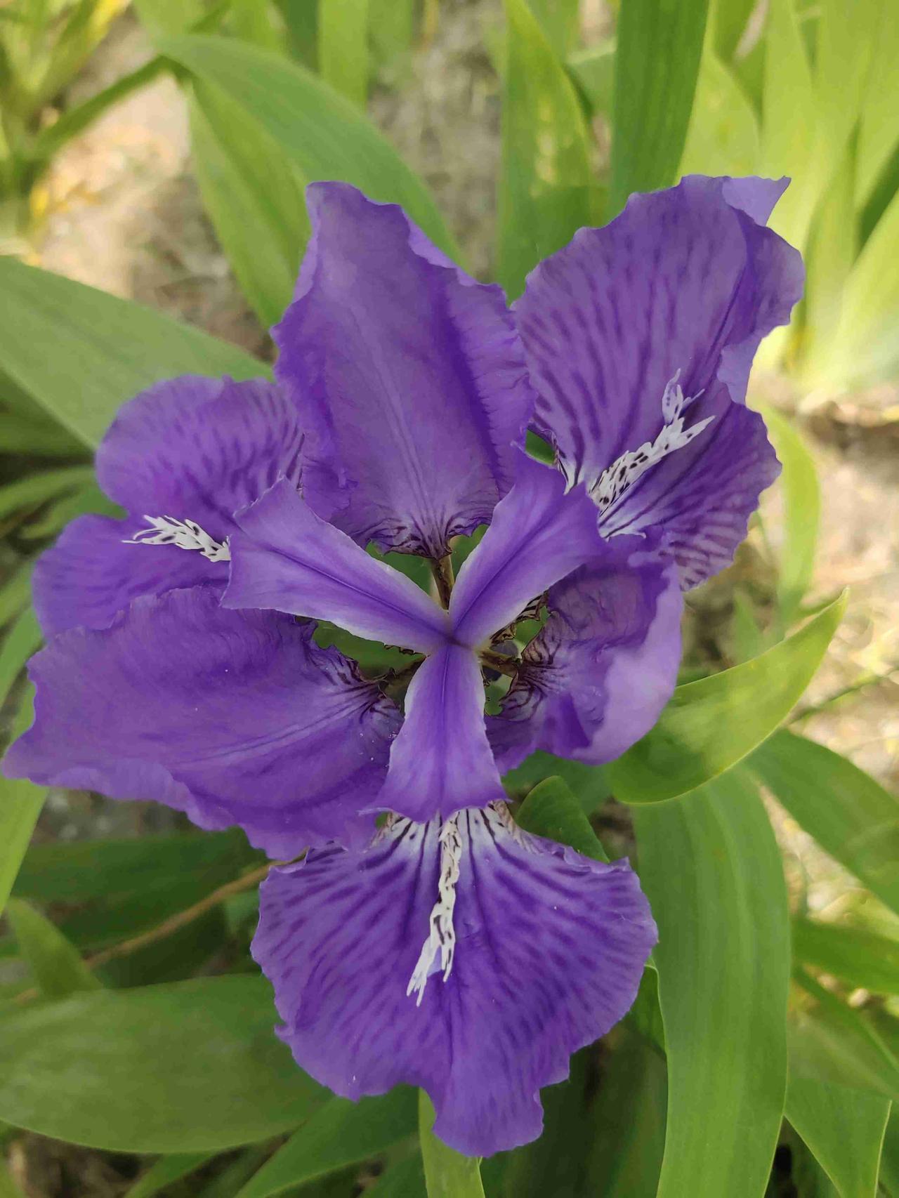 我的今日状态：😁轻松愉快
我这里的天气：☀️晴天