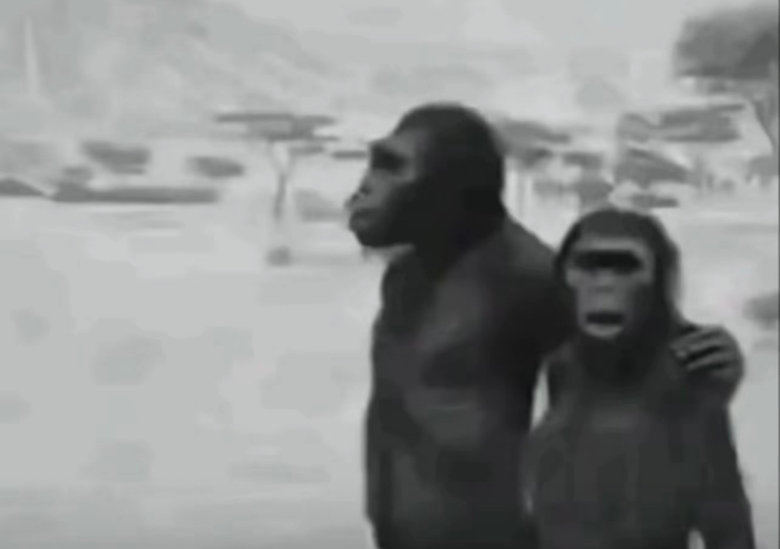 🔻一个朋友办事路过，聊会天，他是卖电鸡的，正好最近新新国标相关话题讨论特别厉害