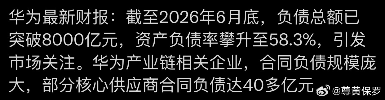 最近两三个朋友七嘴八舌地谈起这事👇🏽，的确一看到“负债”和“负债率”这类字眼