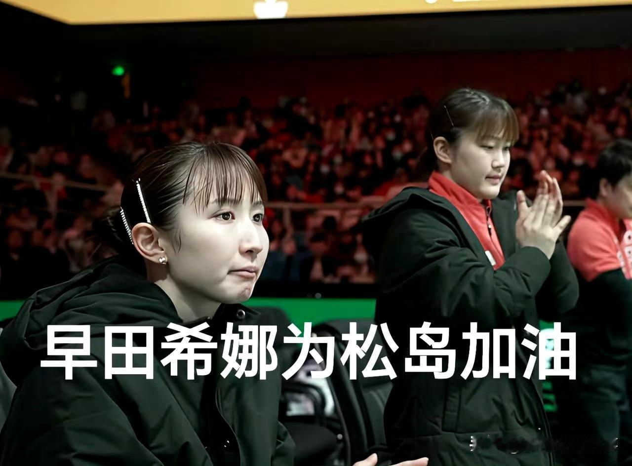 日乒内部矛盾凸显 队内不和闭环引关注
 
成都混合团体世界杯赛期间，日本乒乓队内