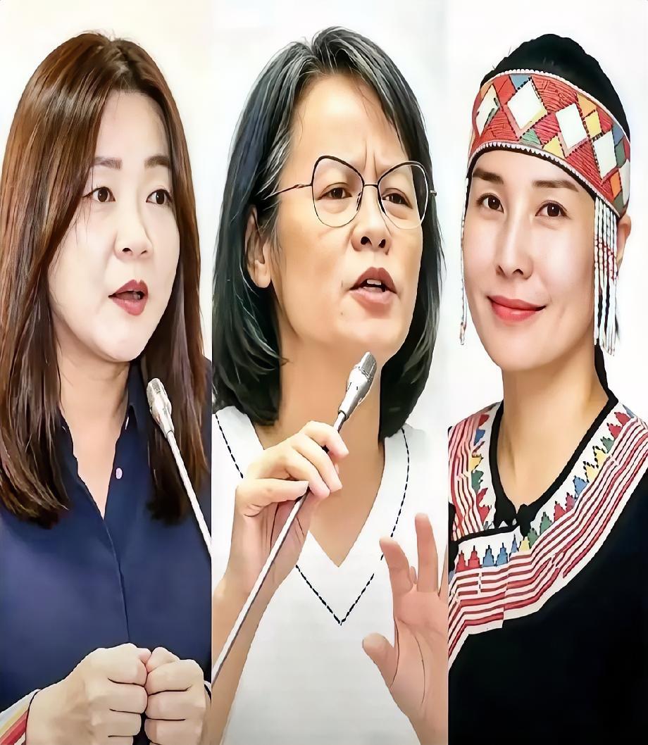 台湾政坛3位硬核女豪杰！坚决反军购、反台独，撑起两岸和平底气
 
台湾政坛杀出三