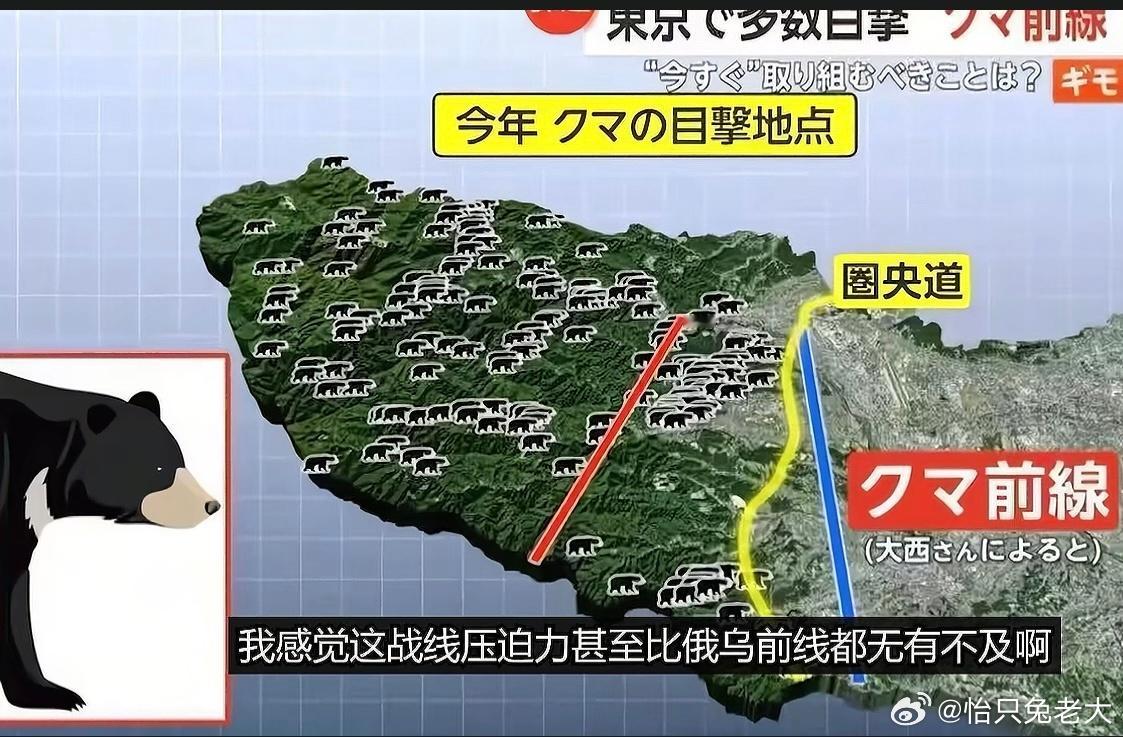 日本熊灾已拉起战线，已经开始农村包围城市了，看着图里的那些标记不禁头皮发麻，每天