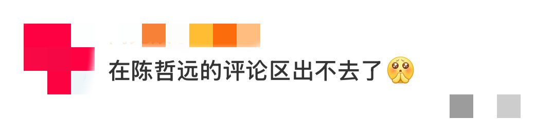 在陈哲远的评论区出不去了谁懂啊！真的在陈哲远的评论区里走出不去了，剧宣小能手远子