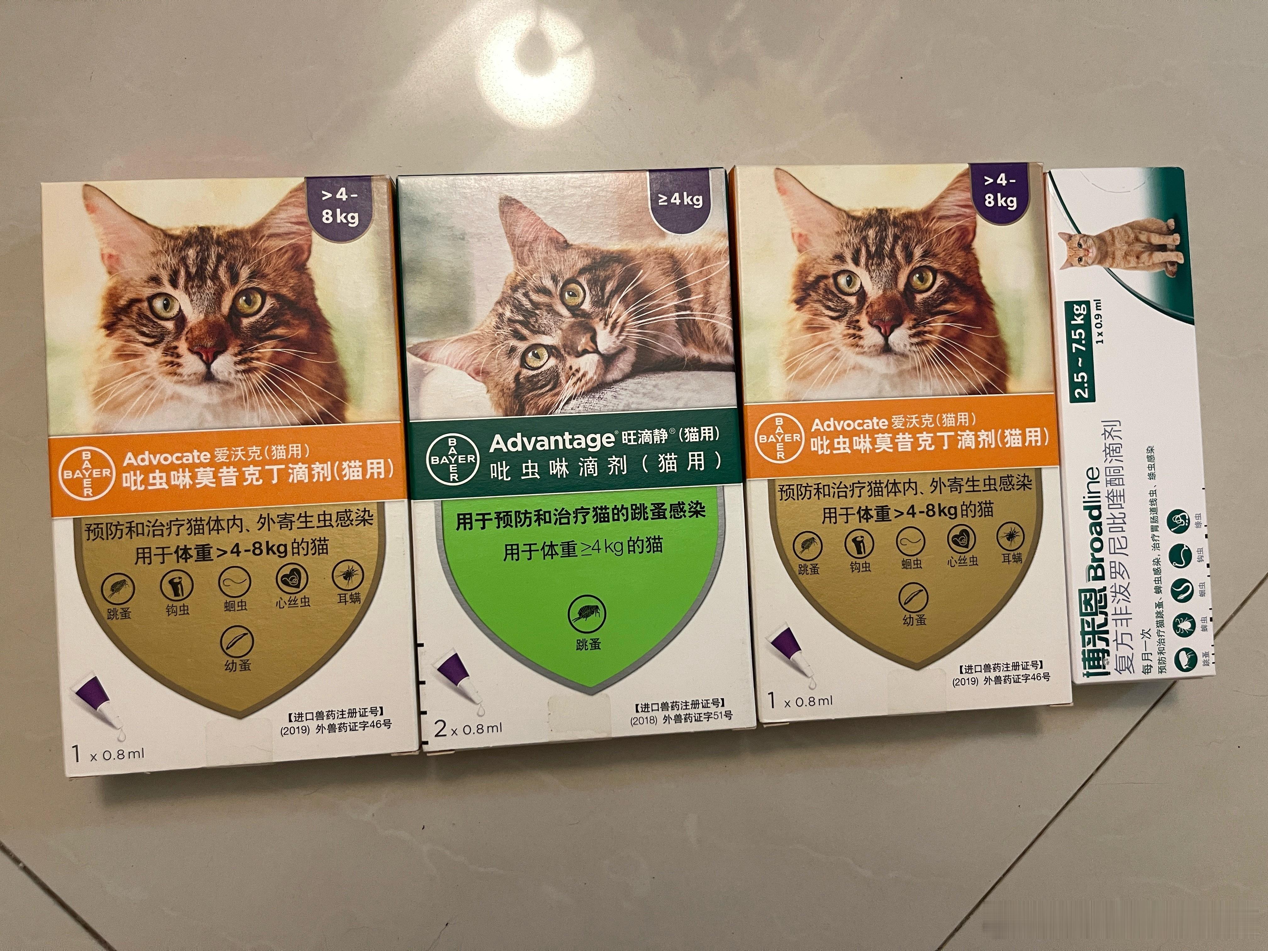 天塌了 真的是跳蚤 养猫以来家里从来没有过 我现在开始怀疑我腿上的红包是不是跳蚤