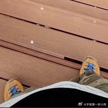 森林驿站 养看淡拥有，不刻意追求某些东西，落叶归根，那些属于你的，总会回来。