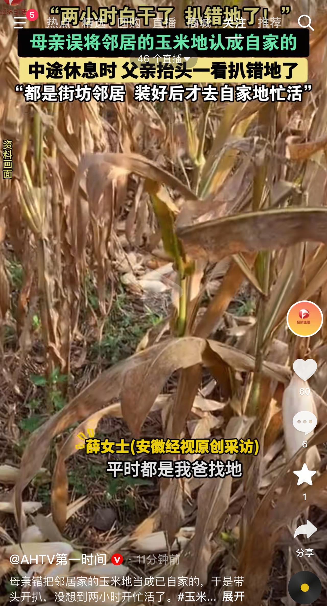 齐齐哈尔，目前在农村正是秋收的时候，薛女士趁着国庆假期回家帮忙扒玉米。
早晨吃过