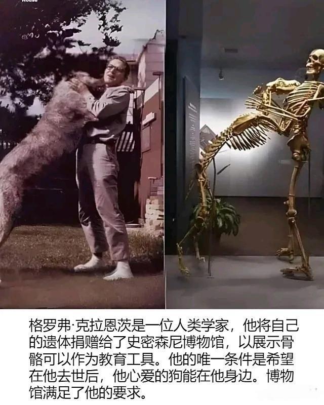 博物馆满足了他的请求 ​​​