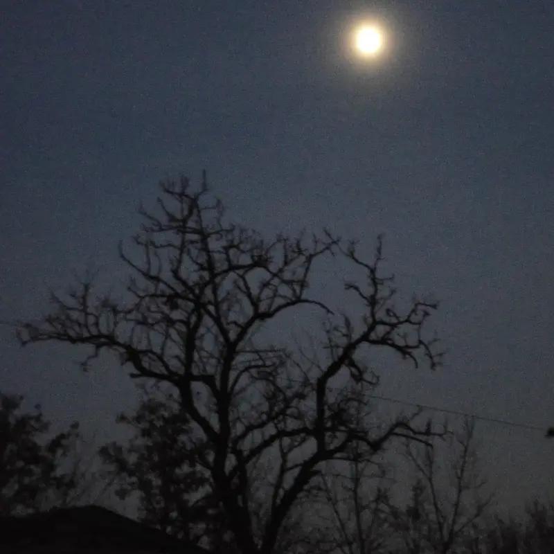 解析
1. 对仗工稳：
“午夜”与“清宵”皆指深夜，“无眠”和“有梦”一动一静、