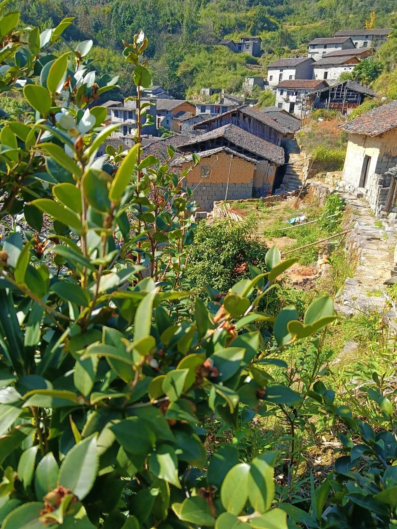 藏在山里的村落