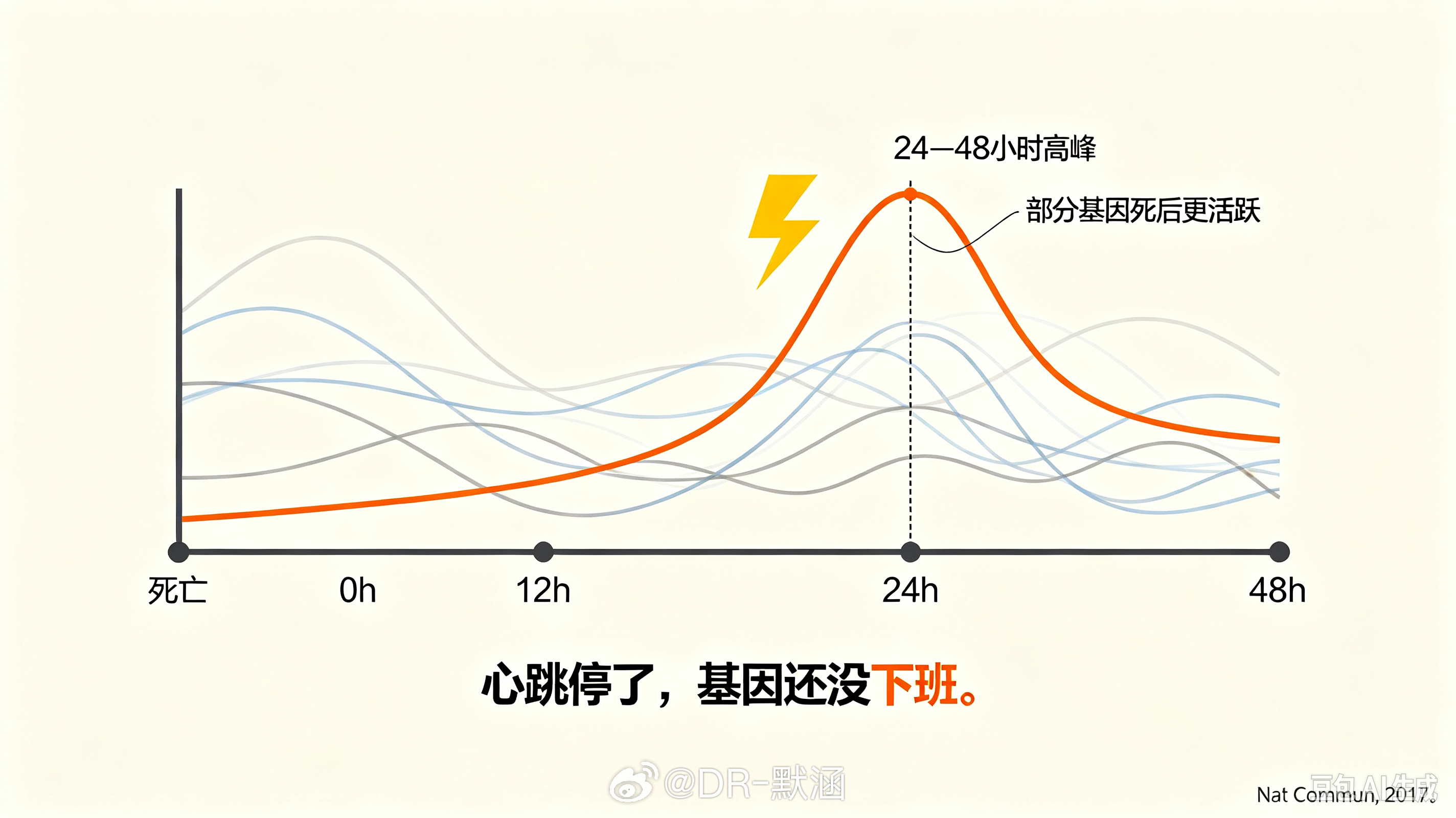 我们通常认为，心跳停止、呼吸停止，生命活动就全面停止了。2017年《自然·通讯》