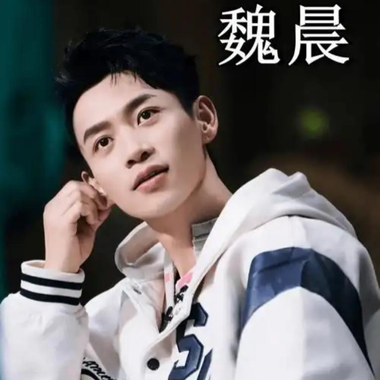 左手唱歌右手演戏，不讨好不浮躁，魏晨这才叫真本事

央视专访揭开39岁魏晨的真实