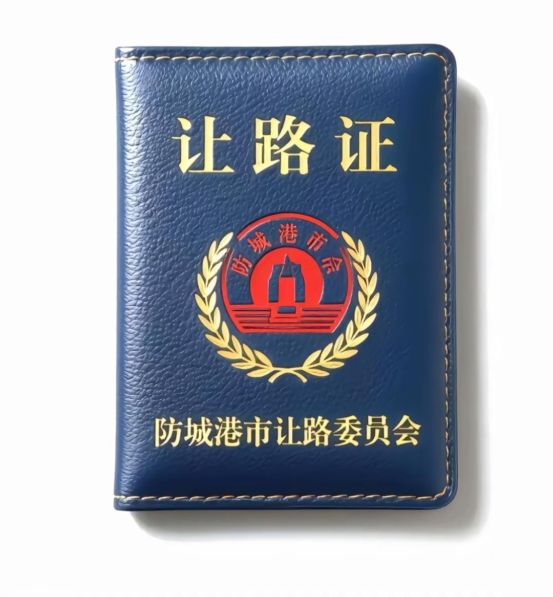 这不人家地方上防城港市公安局长对当事人平头哥说，这个奔驰女司机只是一个企业主，并