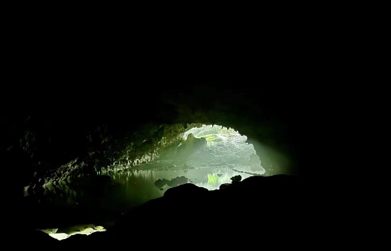 【为什么是茂兰？】• 世界级喀斯特地貌：全球同纬度地区绝无仅有的喀斯特森林生态系