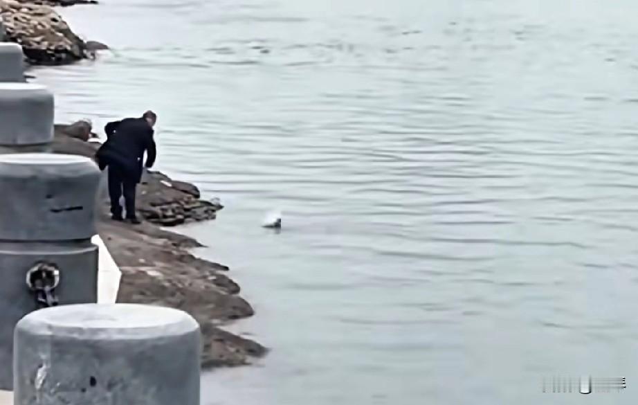 违规操作在合江门钓观赏鱼，这大爷是真刑啊！


 
宜宾合江门的江边，最近出了个