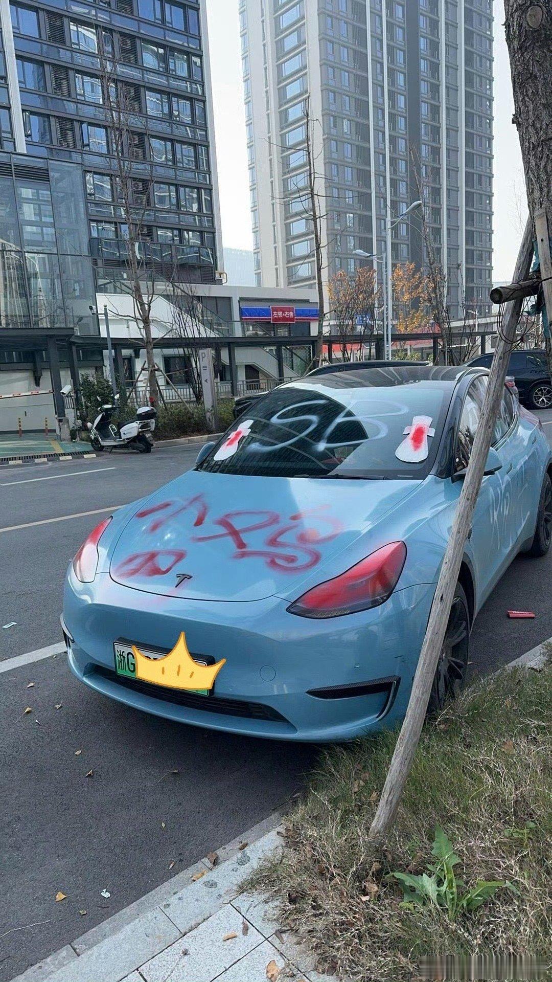 好奇这个 浙G  modely  车主的故事 