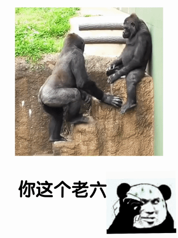 猩猩中的老六，这个动作如何做到跨物种统一的？ 