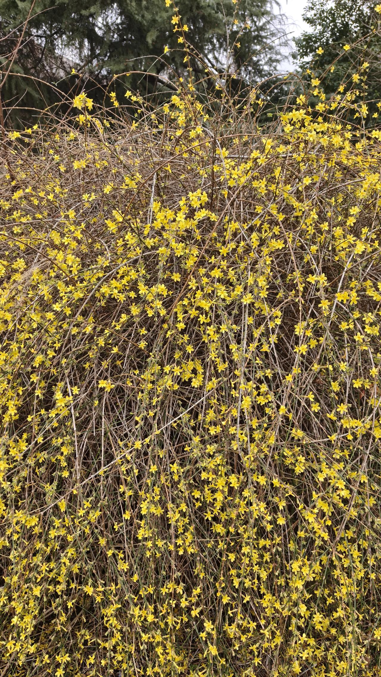 保姆对自己孩子漠不关心，更别说对雇主老人了，，有个保姆孩子开学一周了，老师打电话