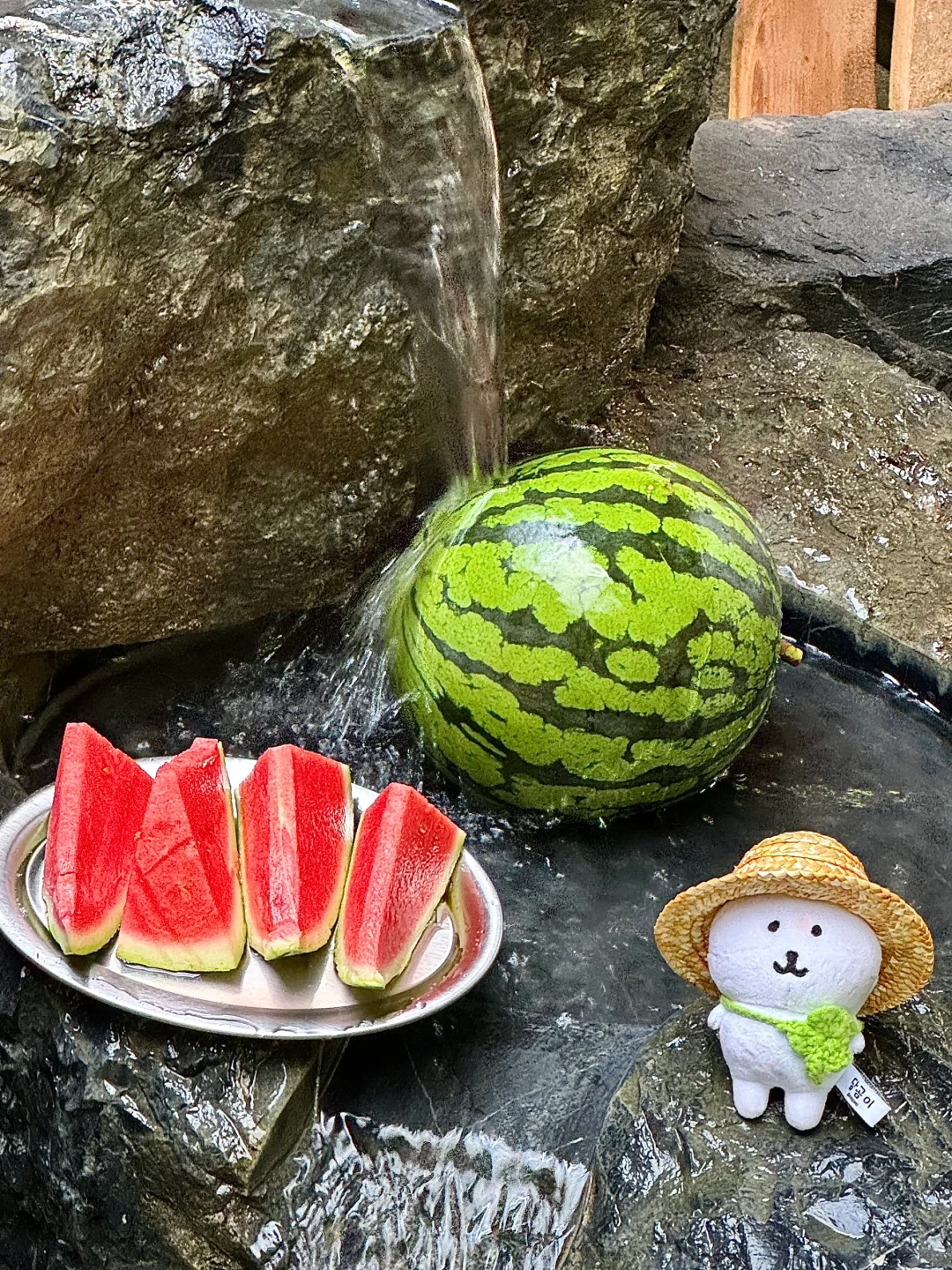 ( ˶･ᴥ･˶）熊の今天和人一起吃西瓜啦🍉