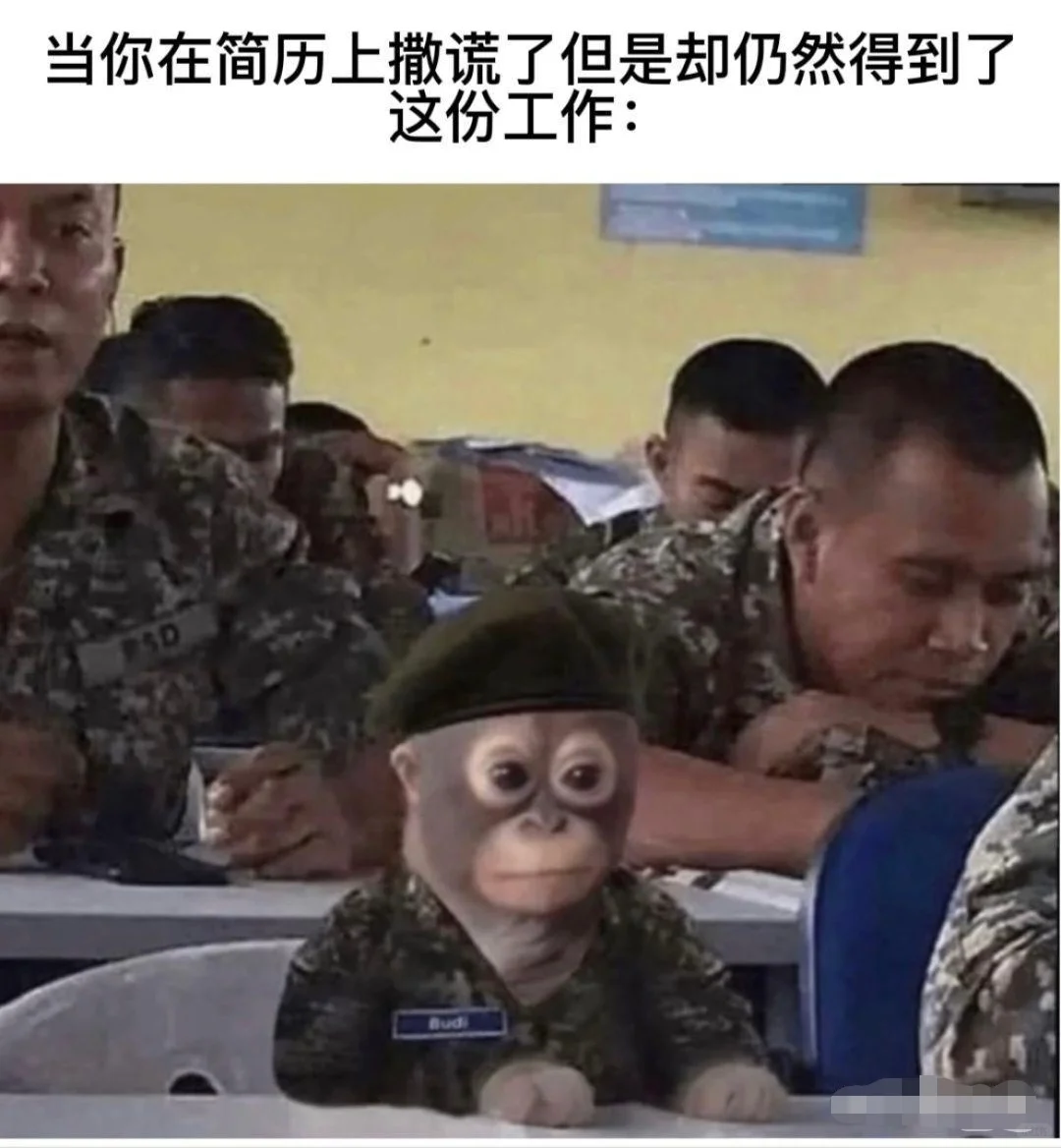 当你简历撒谎哈哈哈哈哈哈搞笑图片梗图合集