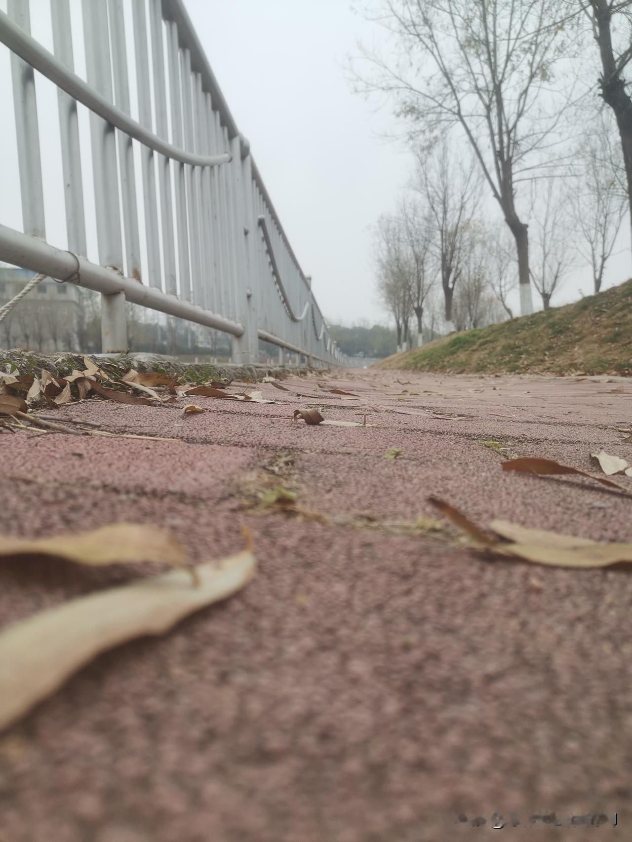 合理合法的放生可能会有意义的，但既不合法又违背常理的、别有用心的放生肯定是有问题