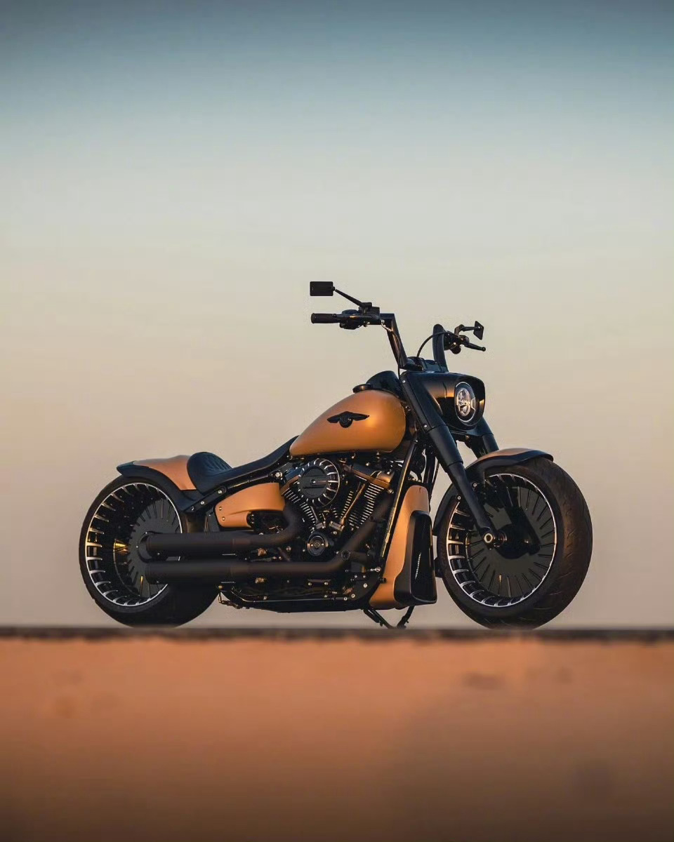 哈雷肥仔box39，轮毂漂亮车帅。 ​​​