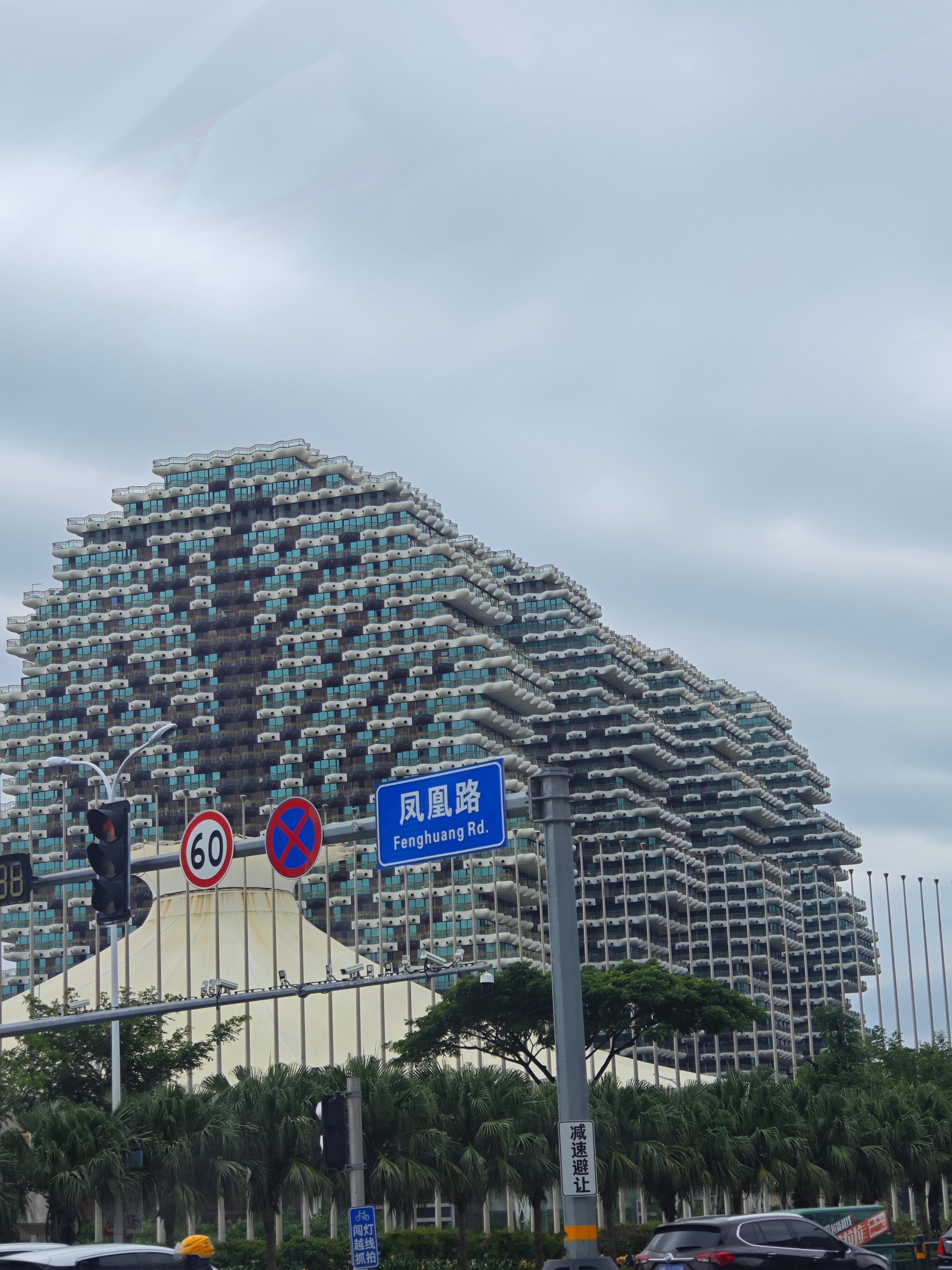 设计这个房子🏠的设计师好有巧思啊！一颗大树🌲的样子，浑然天成，厉害 ​​​