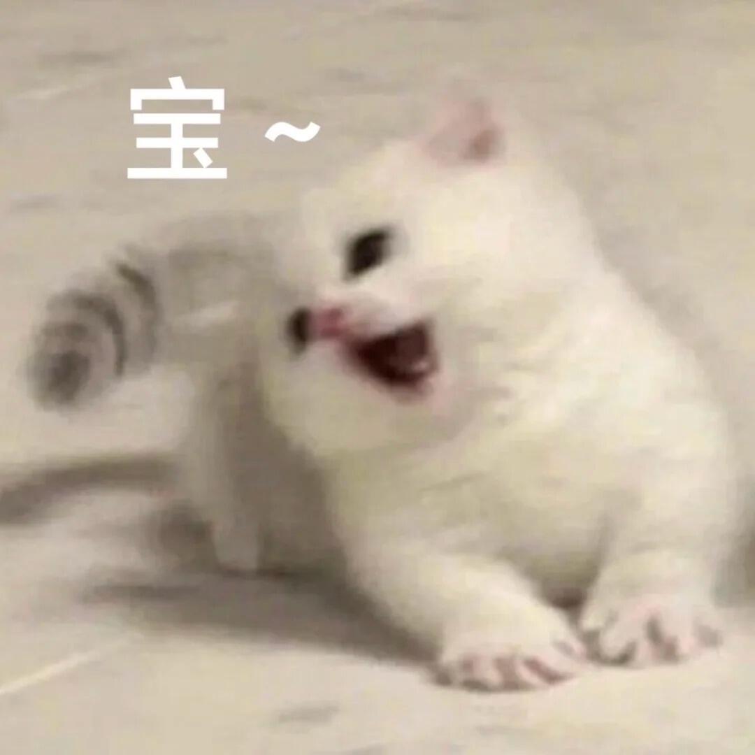 每次都要尽可能点满29条！！！点不了29的就点到25！！！耗子这个时候不用啥时候