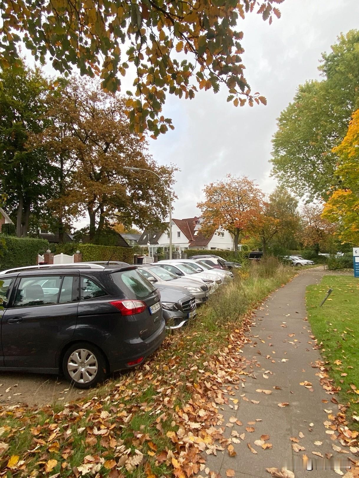 分享你的花卉植物园小区的秋色日益见浓，冬天要来了。