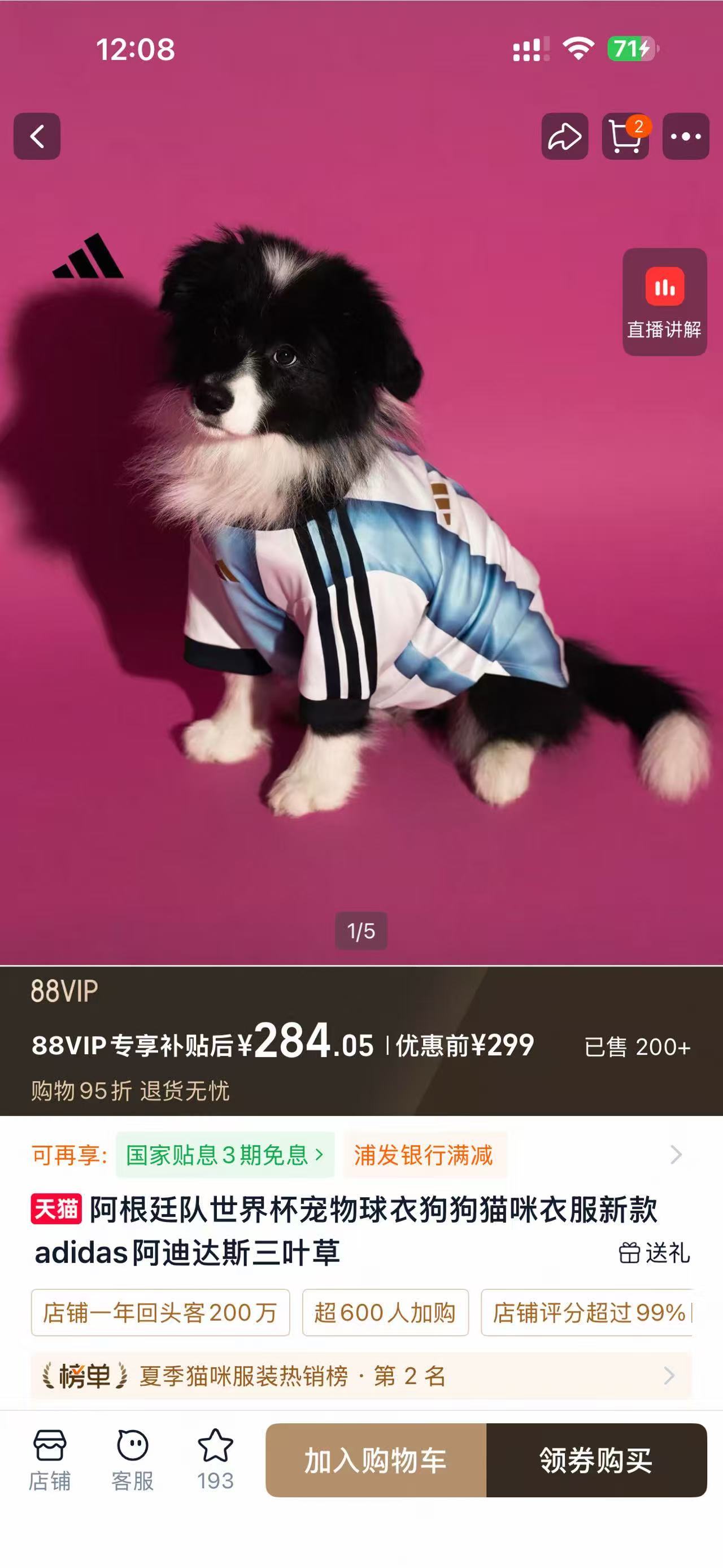 阿迪男配阿迪🐱 