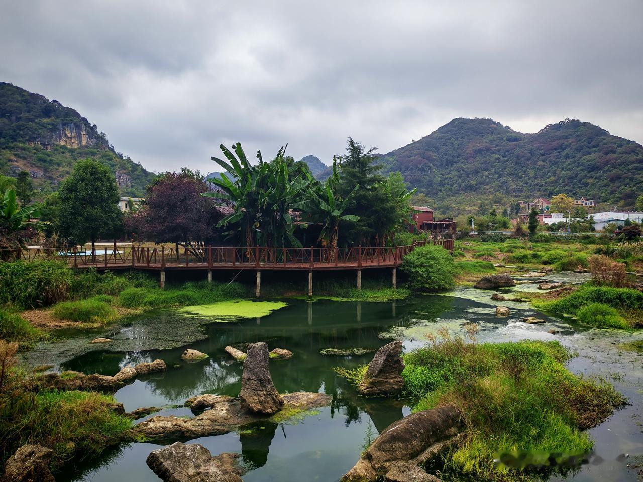 旅居贵州安顺，一心想去看金黄的稻田，结果却扑了个空，只能折返十里荷廊闲逛。

我