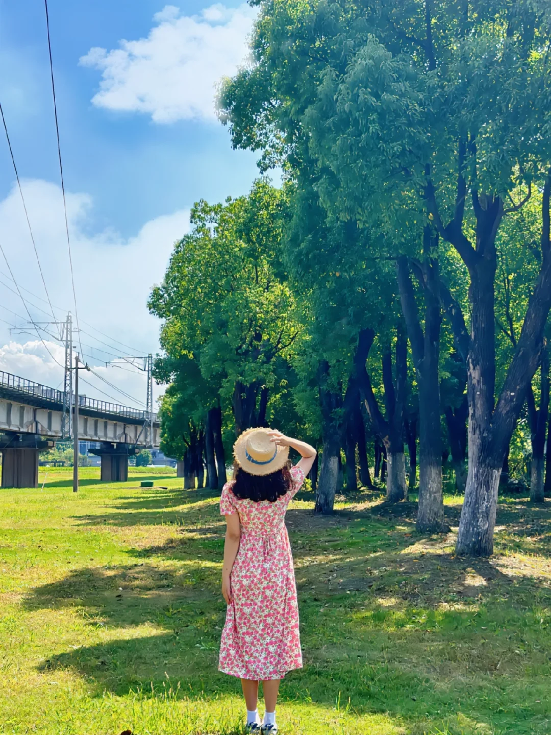 在杭州！不是新疆‼️免费去玩🤩