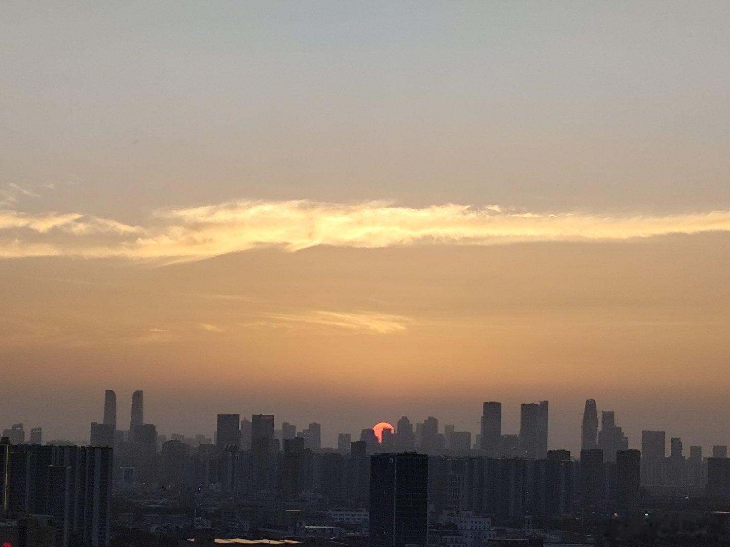偶遇“知大人”，它也在顶楼看夕阳落下吗？希望每一个渺小的生物都可以在这一场“台风