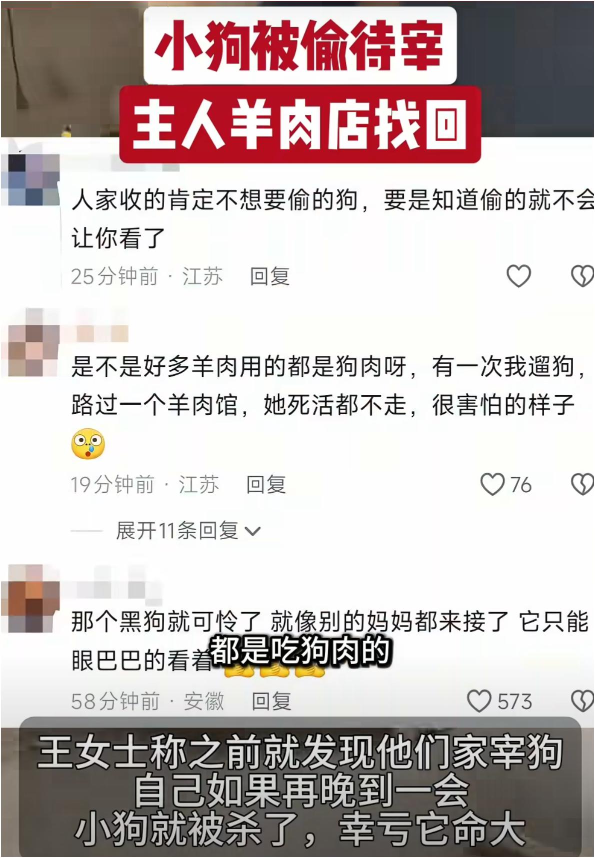 早上还活蹦乱跳的狗狗，放出去上个厕所的功夫，就可能被偷走送到肉店的笼子里。这事儿