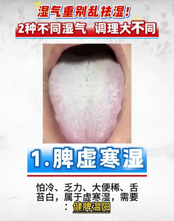 舌象看湿气：两种湿气类型，调理思路各不相同