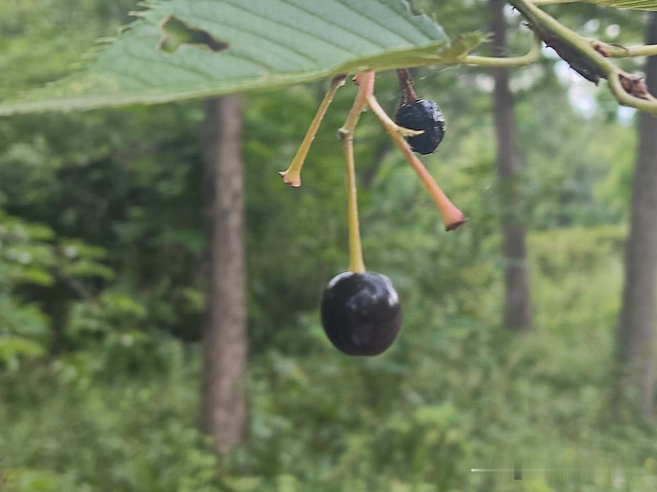 又是崭新的一天
一天好心情