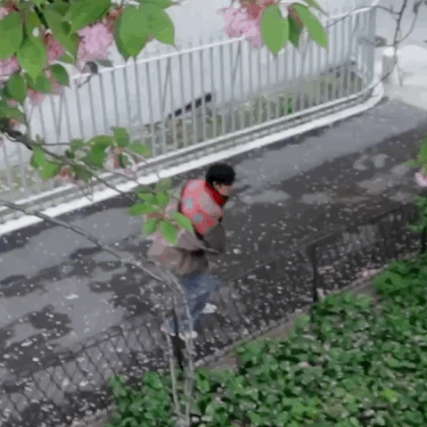 早安，首提首中全票金鸡断层百花一番票房76.7亿的美人影帝朱一龙的老婆们电影千里